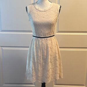 Ark & Co Cream Lace Mini Dress